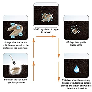 Compostable Clamshell Take Out Food Containers, Natural Disposable Bagasse, Eco-Friendly, Sugar Cane Fibers 3