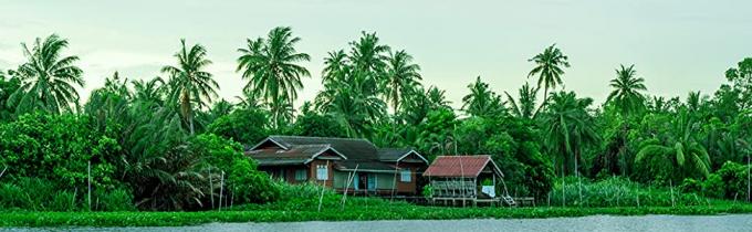 PLA Drinking Straws, CPLA Giant Straws, Individually Wrapped, Plant Based Compostable Flexi straws, cocktail 9