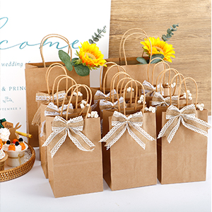 Recyclable Shopping Bags, Retail Bags, Party Bags, Merchandise Bags, Favor Bags, Merchandise Retail Bags 1