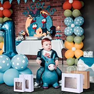 Retail Bag with Rope Handle, Metallizing, Business Bags, Craft Bags, Party Bags, Recyclable Bags 9