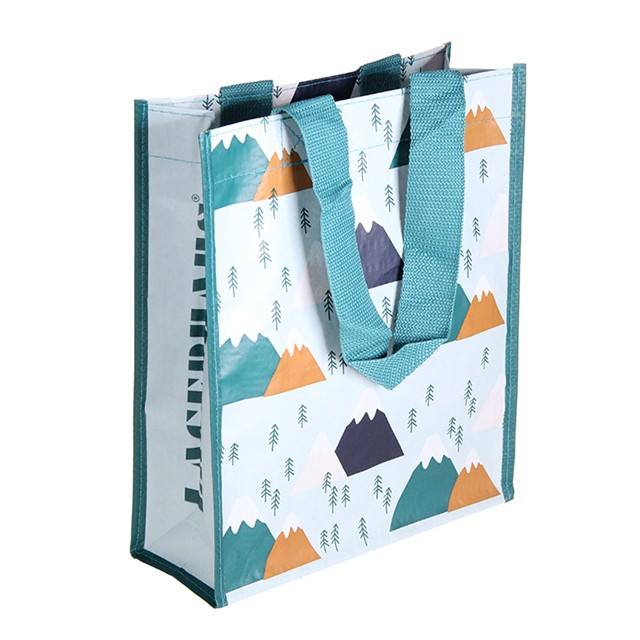 Eco Friendly fabric Laminated Handle, Pp Woven Tote Bag, RPET Coated Foldable Recyclable Shopping handy Bags 6