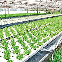 perforated ground film, Vapor Barrier film, Greenhouse film, Agricultural Panda Film, Reflective Maylar Film 13