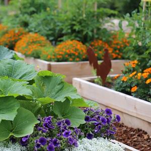 Weed control Mat, Ground Cover, Flower Bed, Mulch, Pavers, Edging, Garden Stakes, Weed Barrier,  Landscape 14