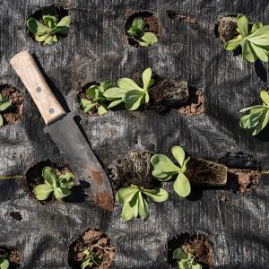 Weed control Mat, Ground Cover, Flower Bed, Mulch, Pavers, Edging, Garden Stakes, Weed Barrier,  Landscape 19